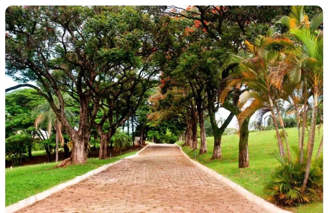 Jazigo - Cemitério Parque da Colina