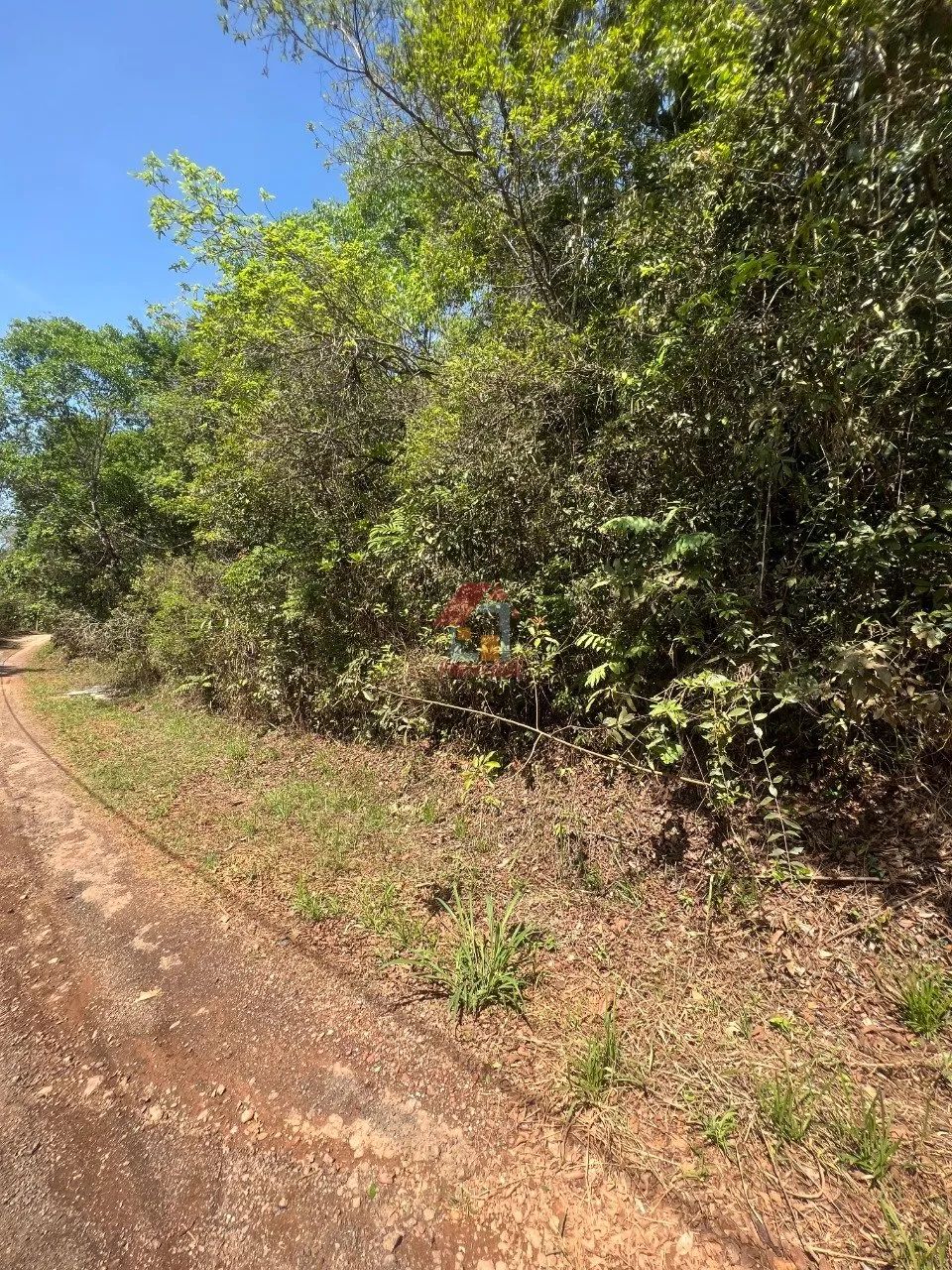 Lote Jardins de Petrópolis - Foto 2