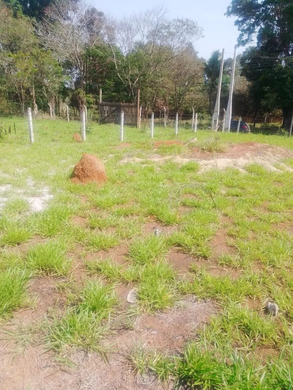 Terreno  e chácara  otimo lugar - Foto 5