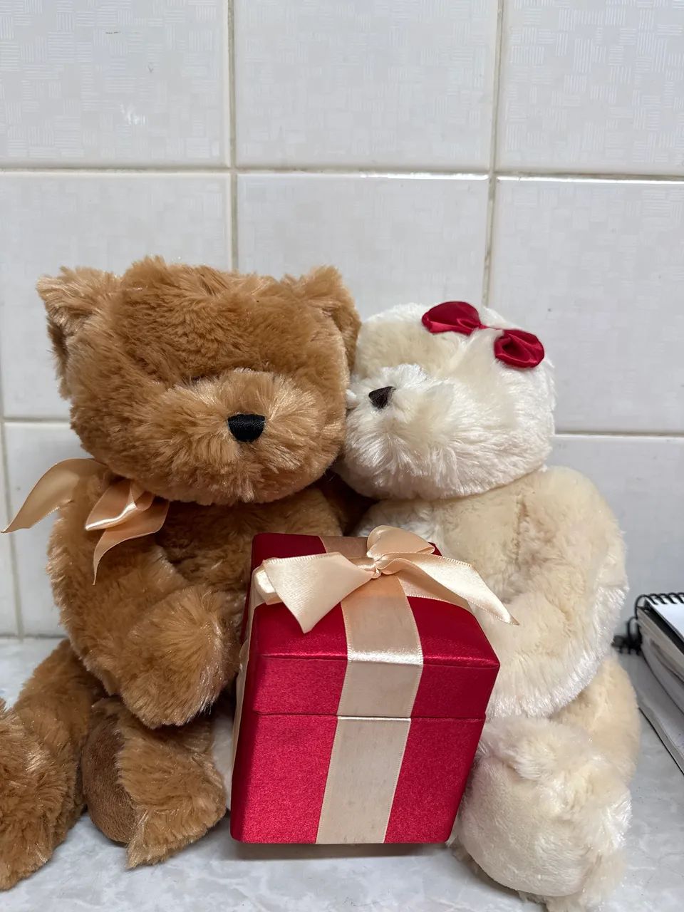 Casal de ursos com pelúcia diferenciada - Foto 2