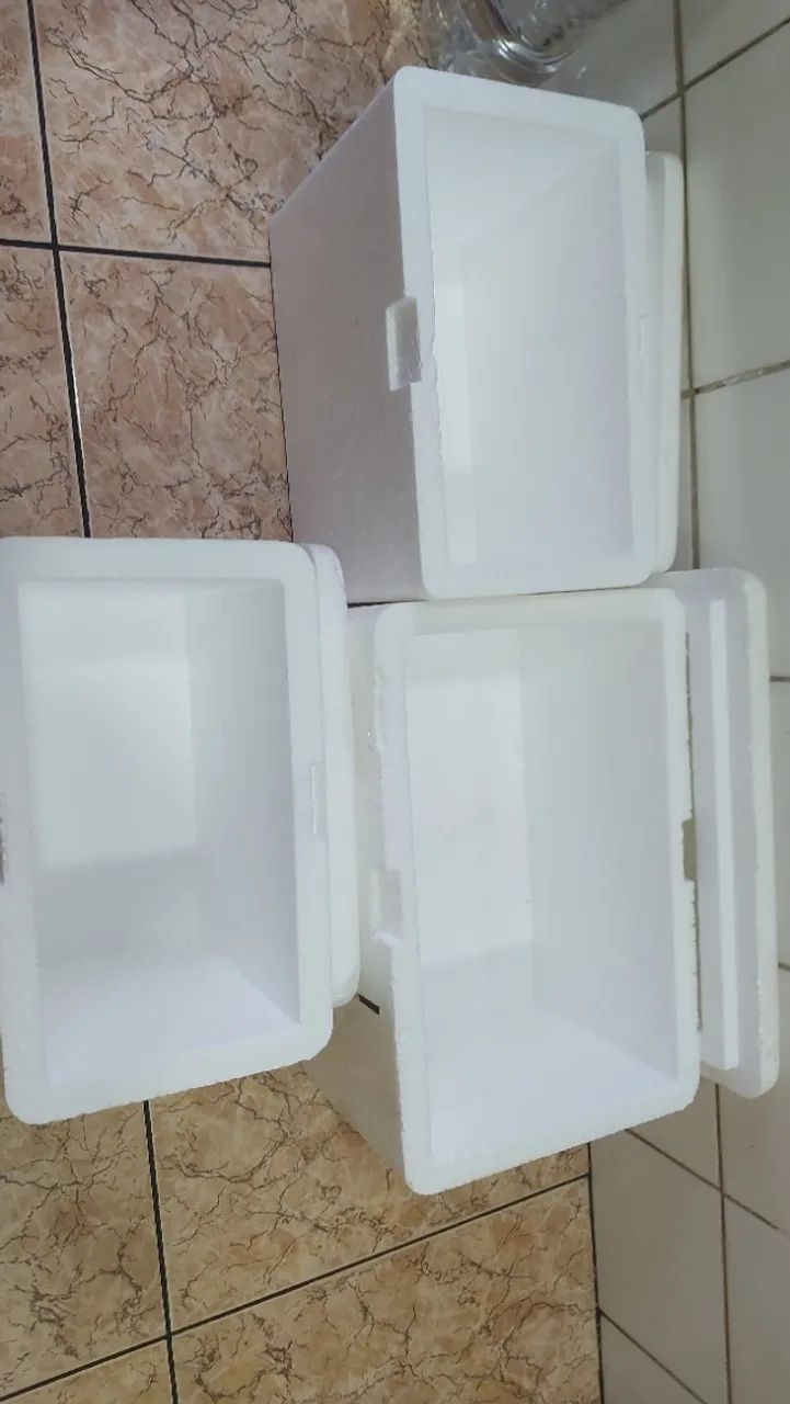 Kit (7 caixas térmicas): Uma de 9L e Seis de 6L - Foto 5