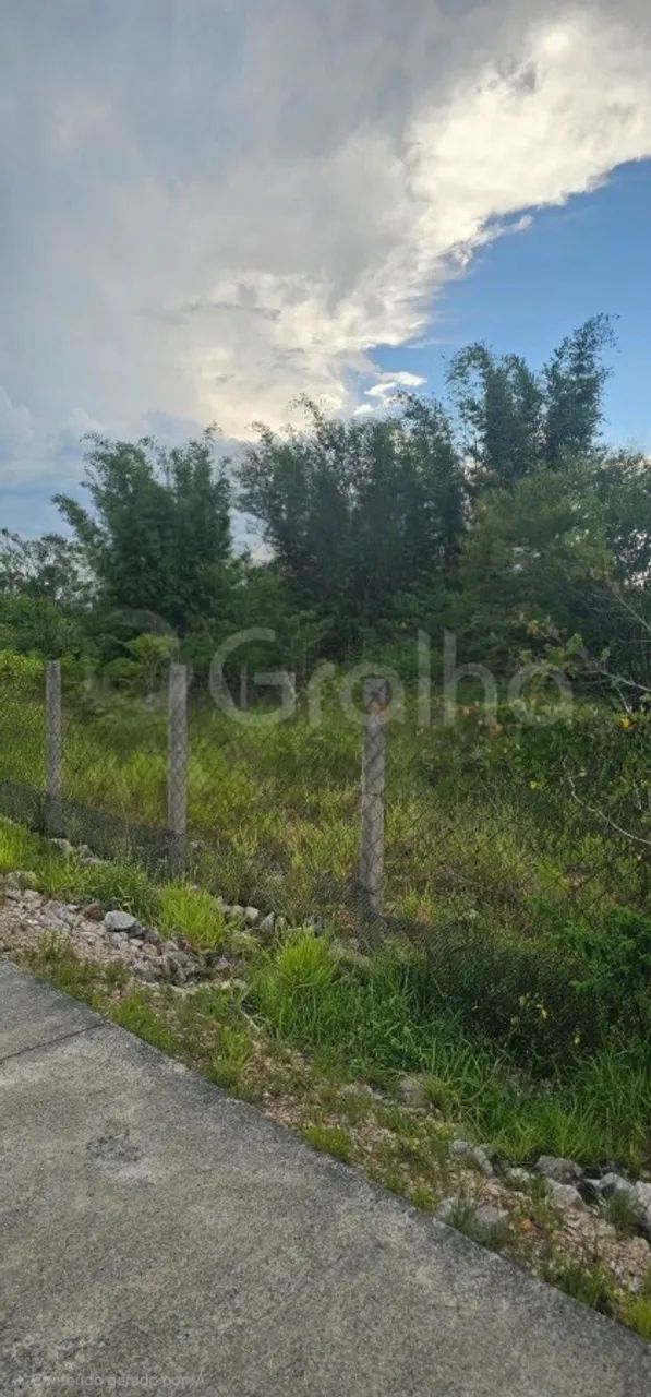 Terreno para Venda em Florianópolis, Carianos - Foto 4