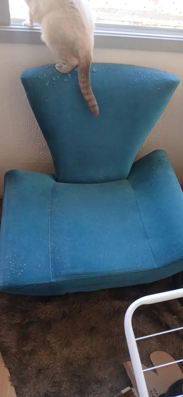 Par de Poltronas velhas - Foto 4