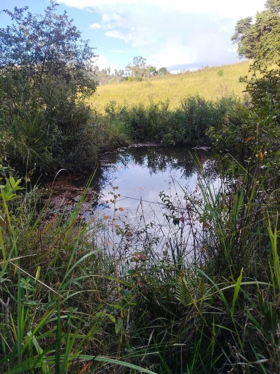 ?Fazenda de 78 Hectares em Itaúna  - Foto 4