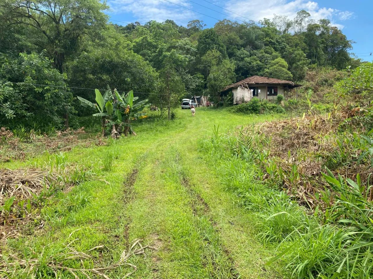 SÍTIO À VENDA EM ANTONINA - PR - Foto 5
