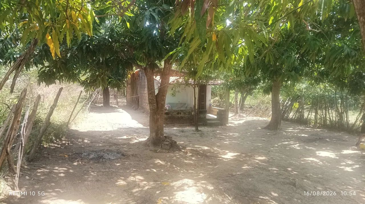 Venda - Foto 2