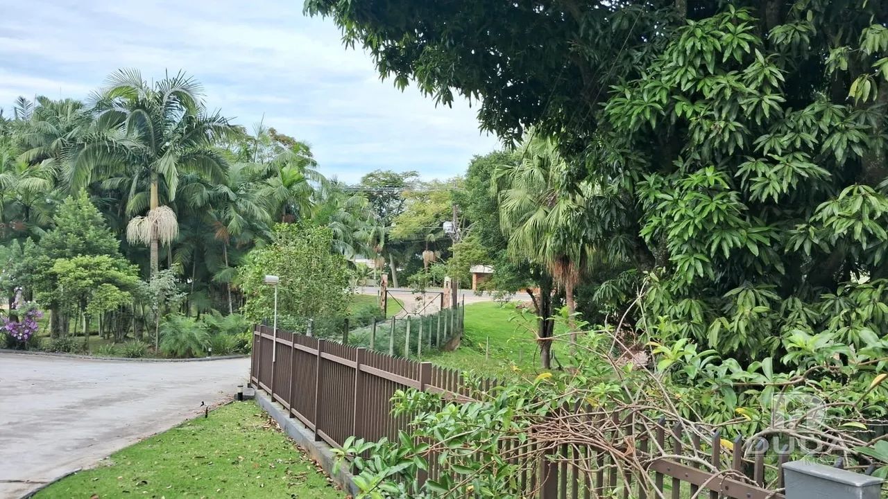 Sítio à Venda em Cocal do Sul - Foto 2