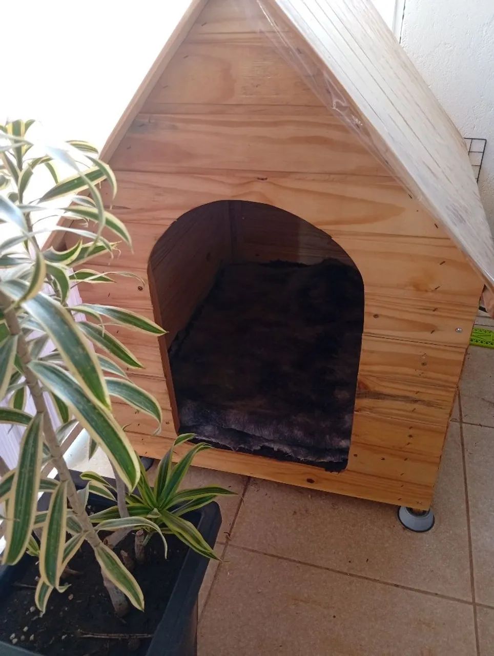 Casinha de cachorro Extra Grande  - Foto 3