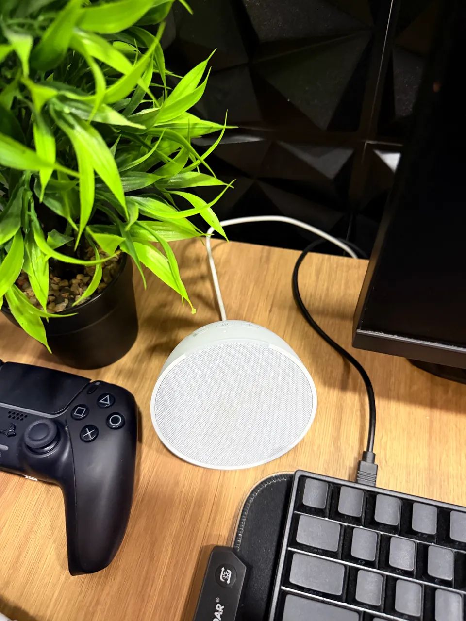Alexa echo pop