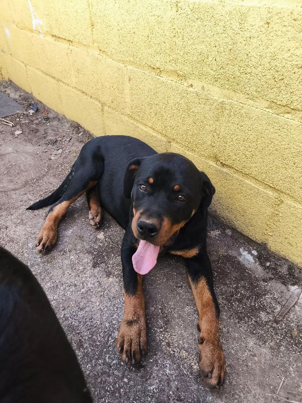 Vendo  - Foto 2