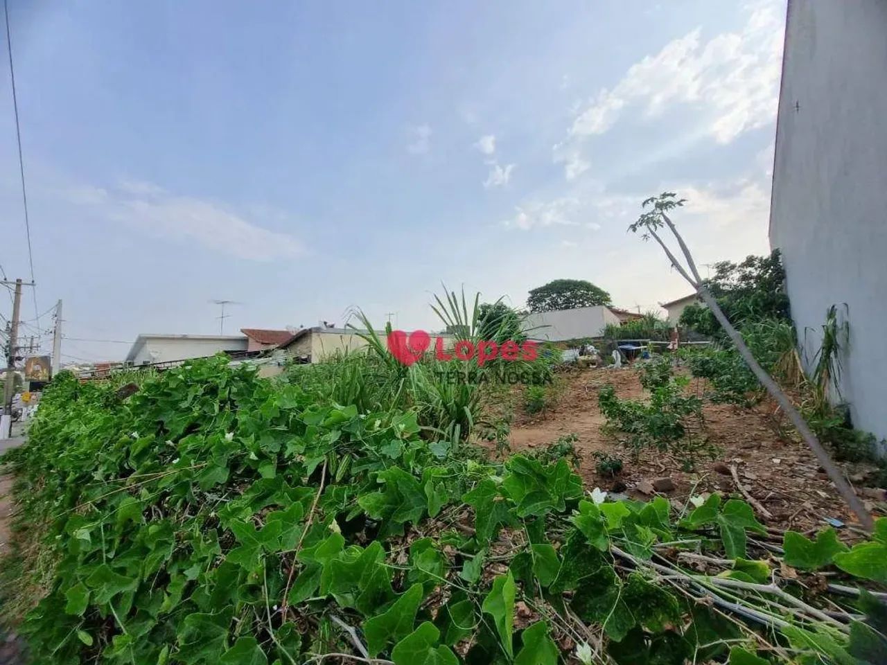 Terreno Comercial para Locação - Foto 4