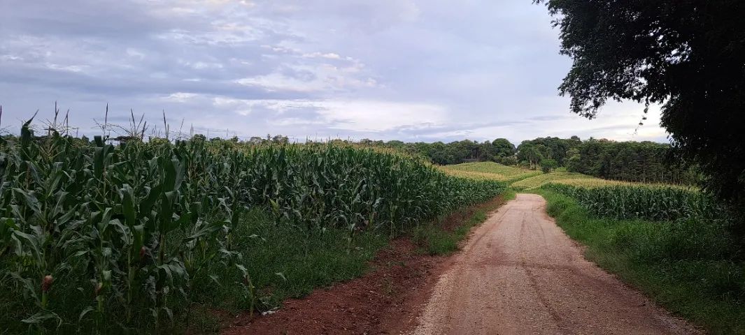 Área Rural 93.000 m² em Balsa Nova - Rodeio Chapada | Nascente e Riacho - Foto 2