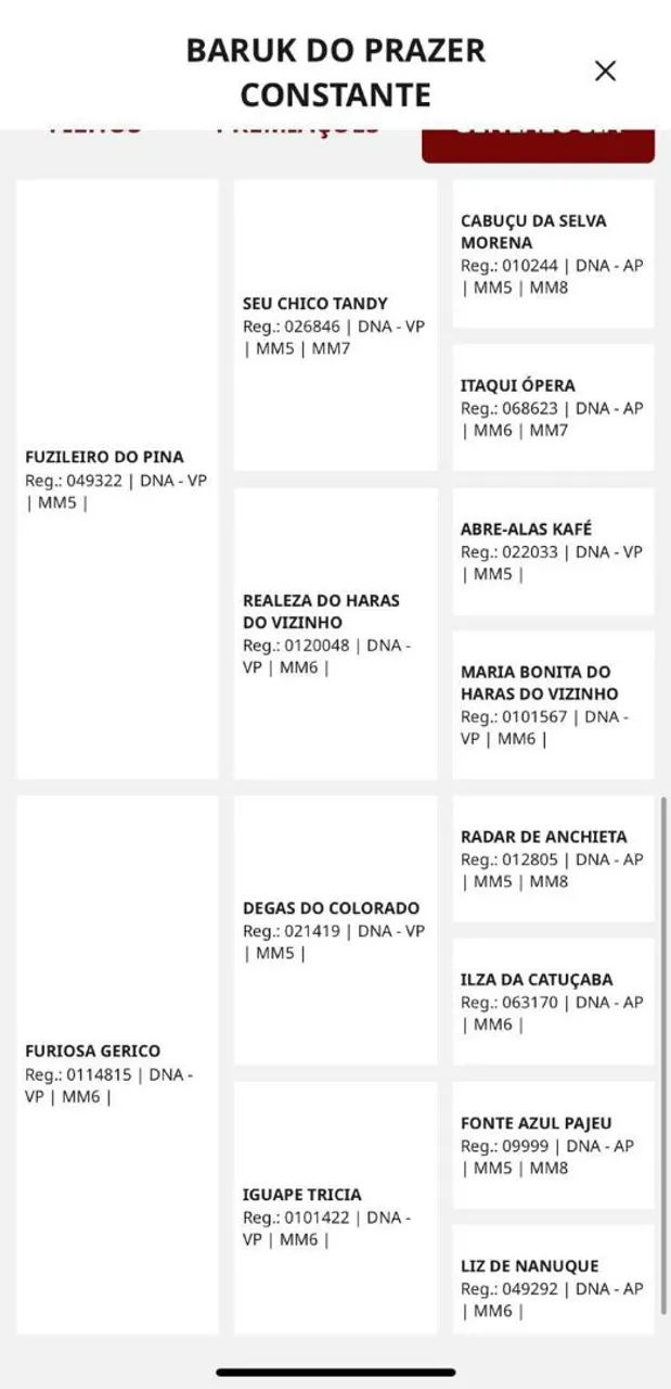  Cavalo Mangalarga  - Foto 6