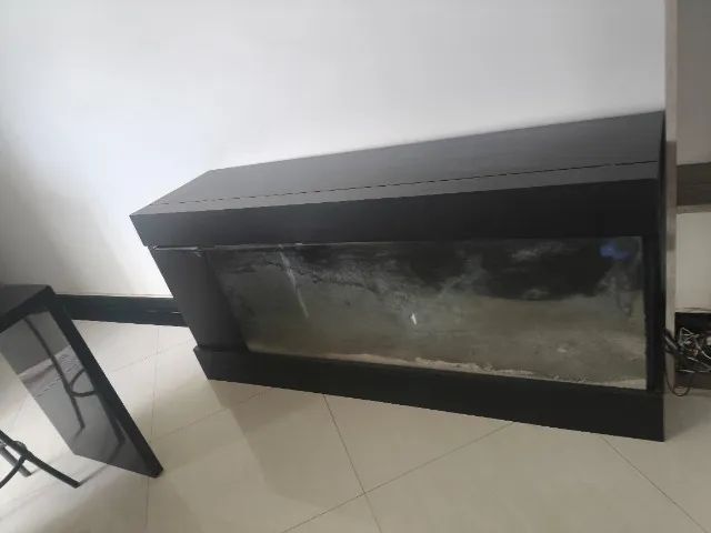 Aquário marinho  - Foto 4