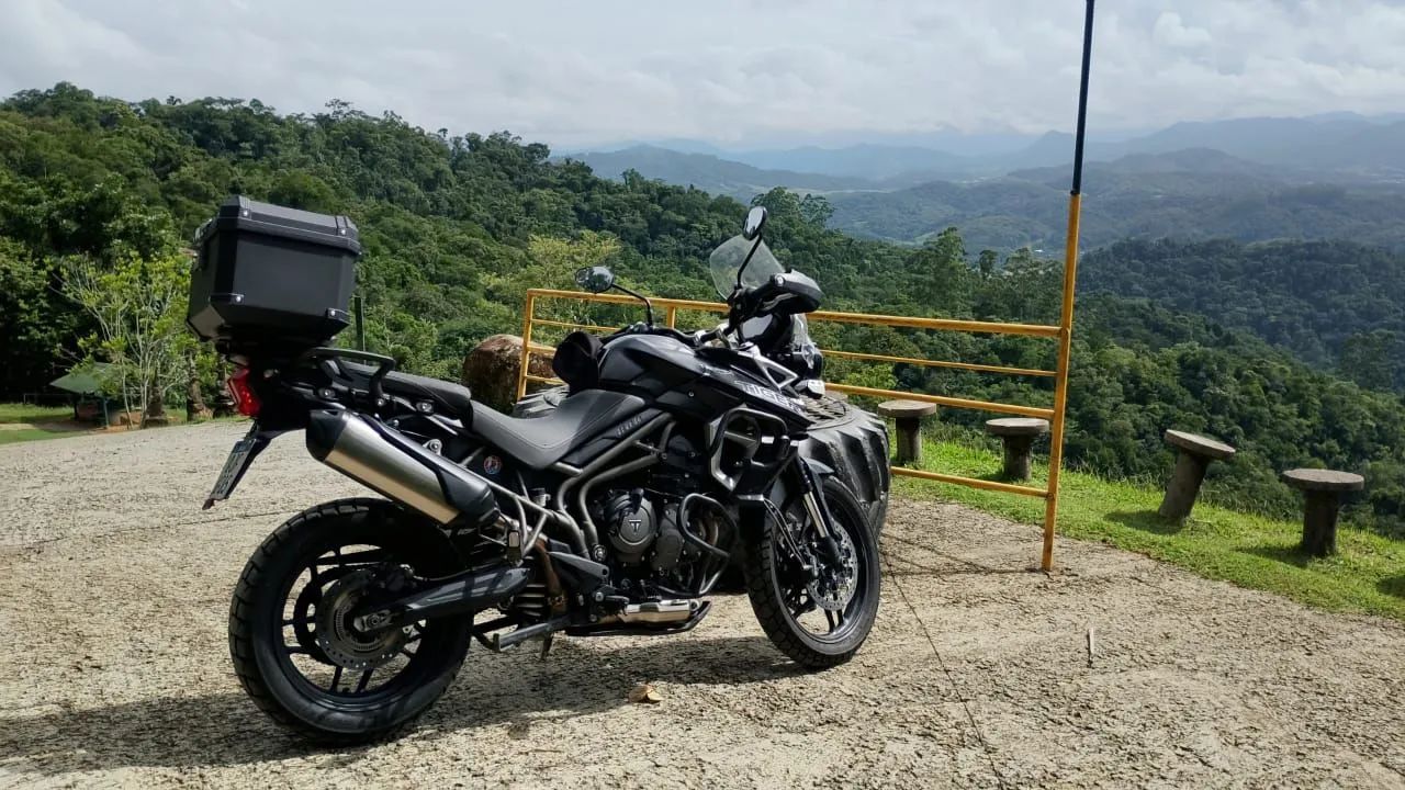 Tiger 2018 - Foto 3
