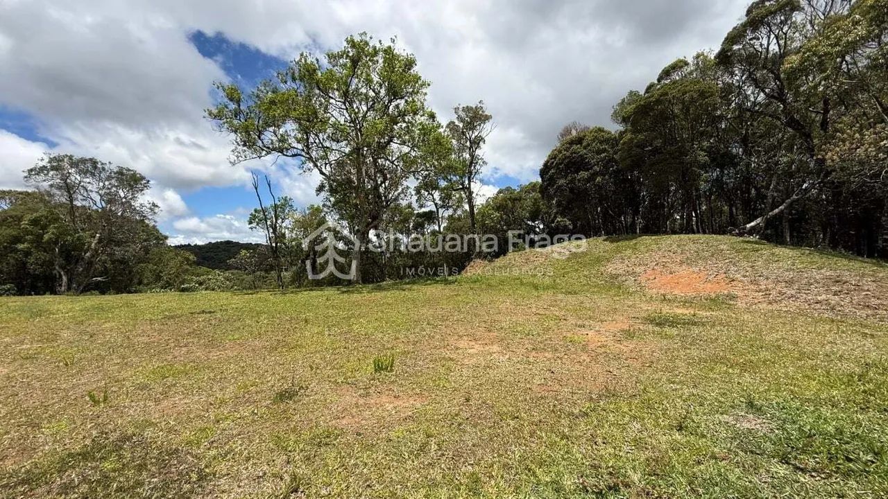 Terreno rural - Foto 3