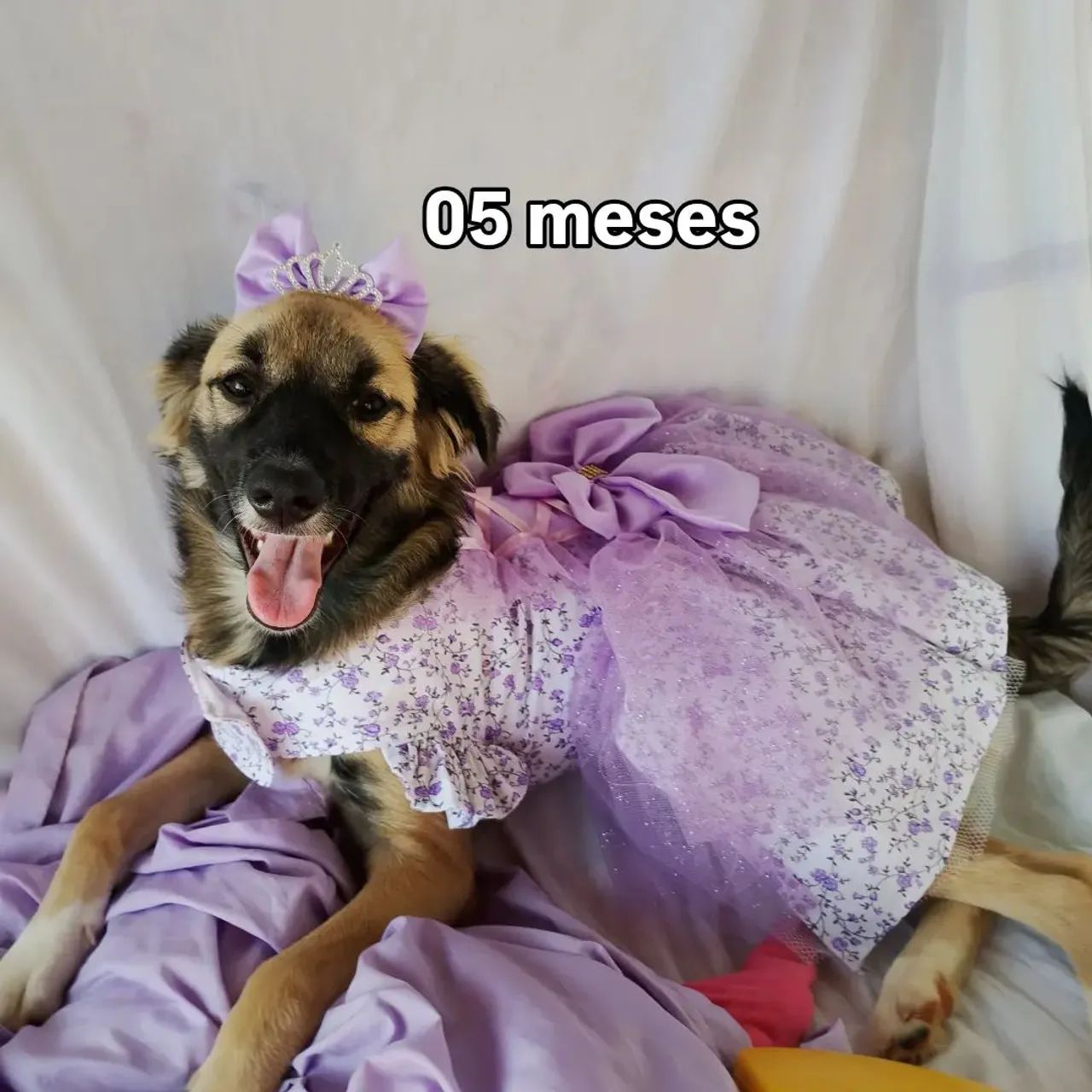 Doação  - Foto 3