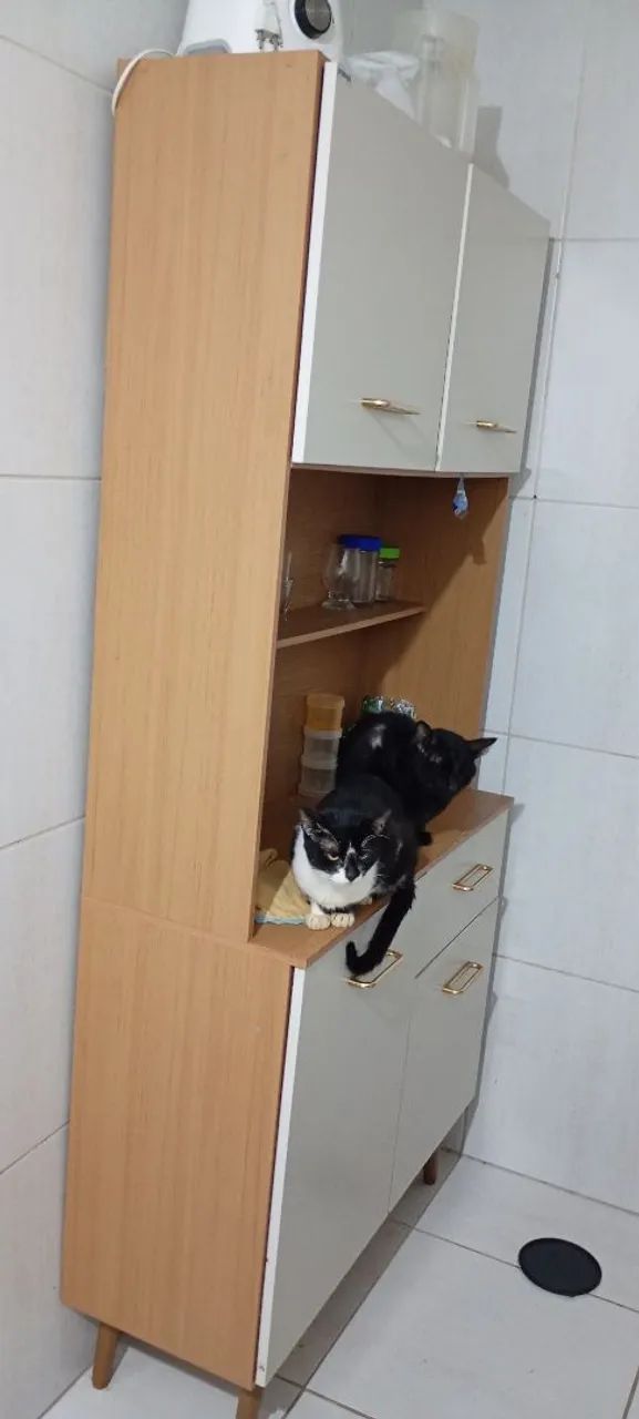 Armário de cozinha 