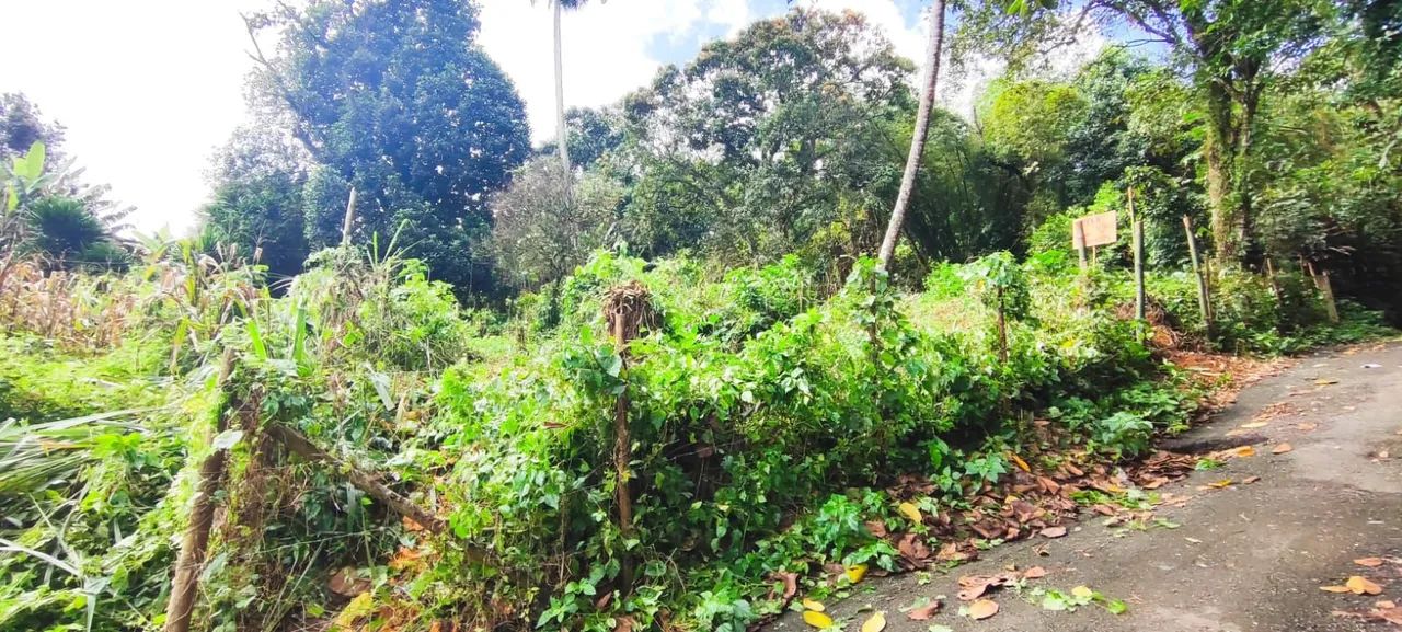 Lotes a venda ( Próximo ao derba e novo VLT ). - Foto 4