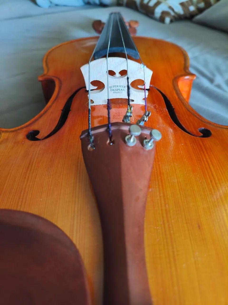 Viola - Foto 5