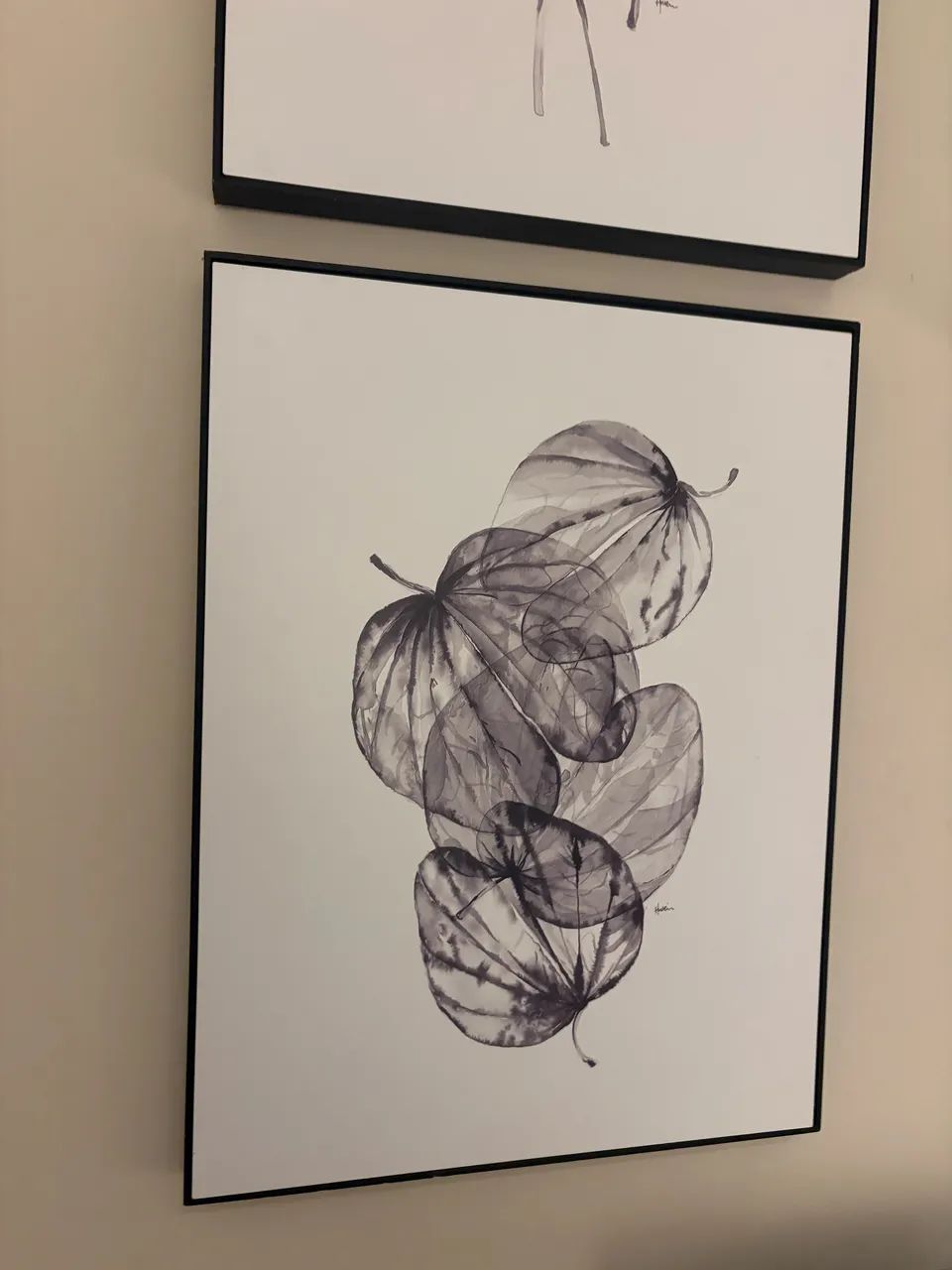 Quadro 