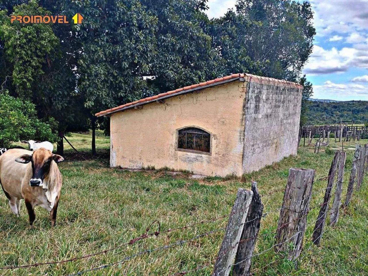 Sítio, Conchas SP - Foto 4