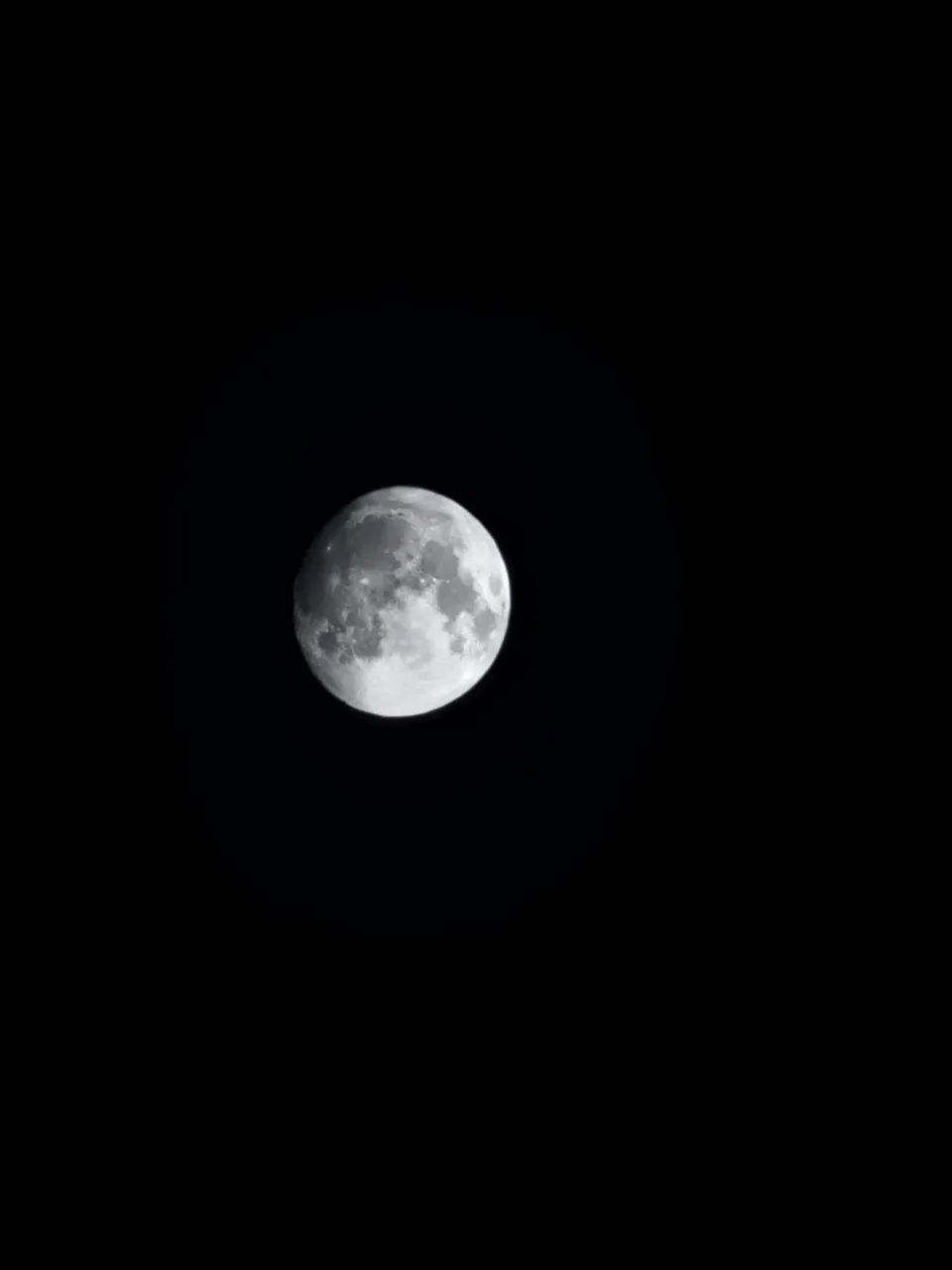 S22 256g - Foto 3