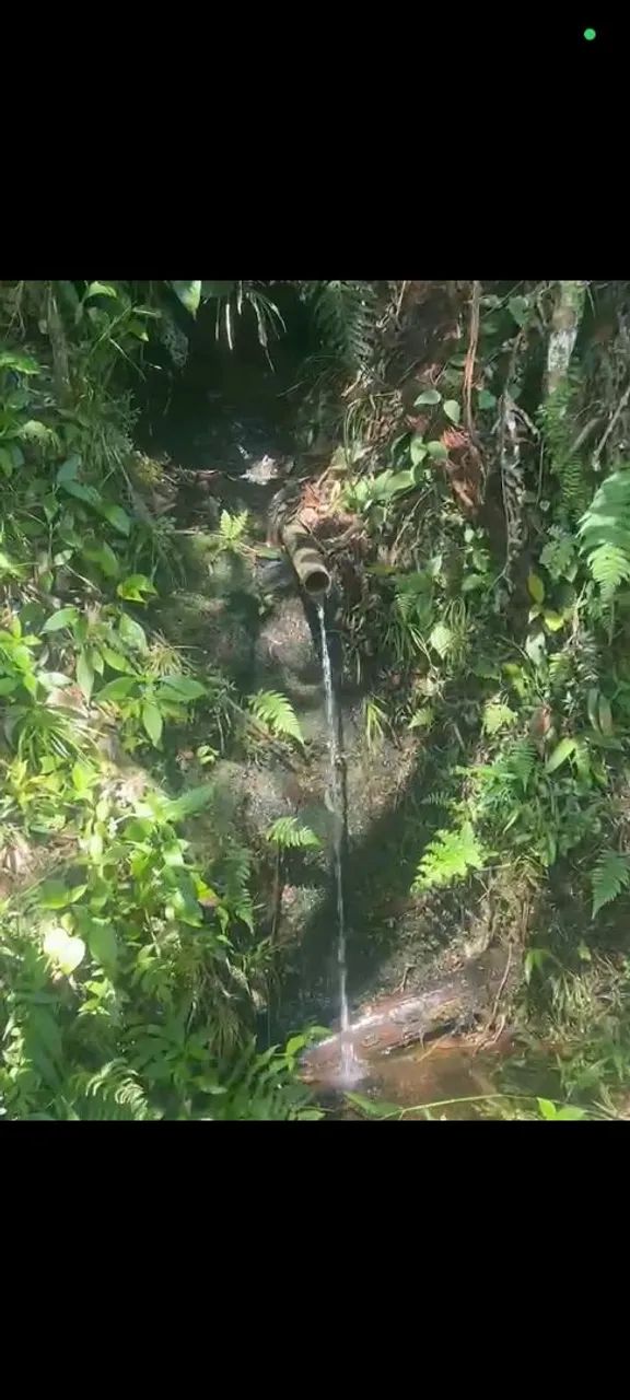 TERRENO EM JUQUITIBA  - Foto 4