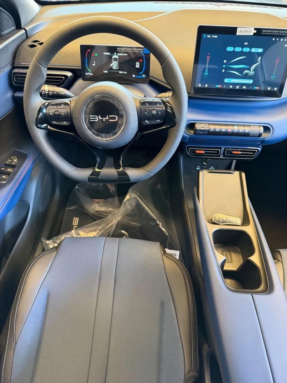 BYD Dolphin Mini (Elétrico) 2026 - Foto 3