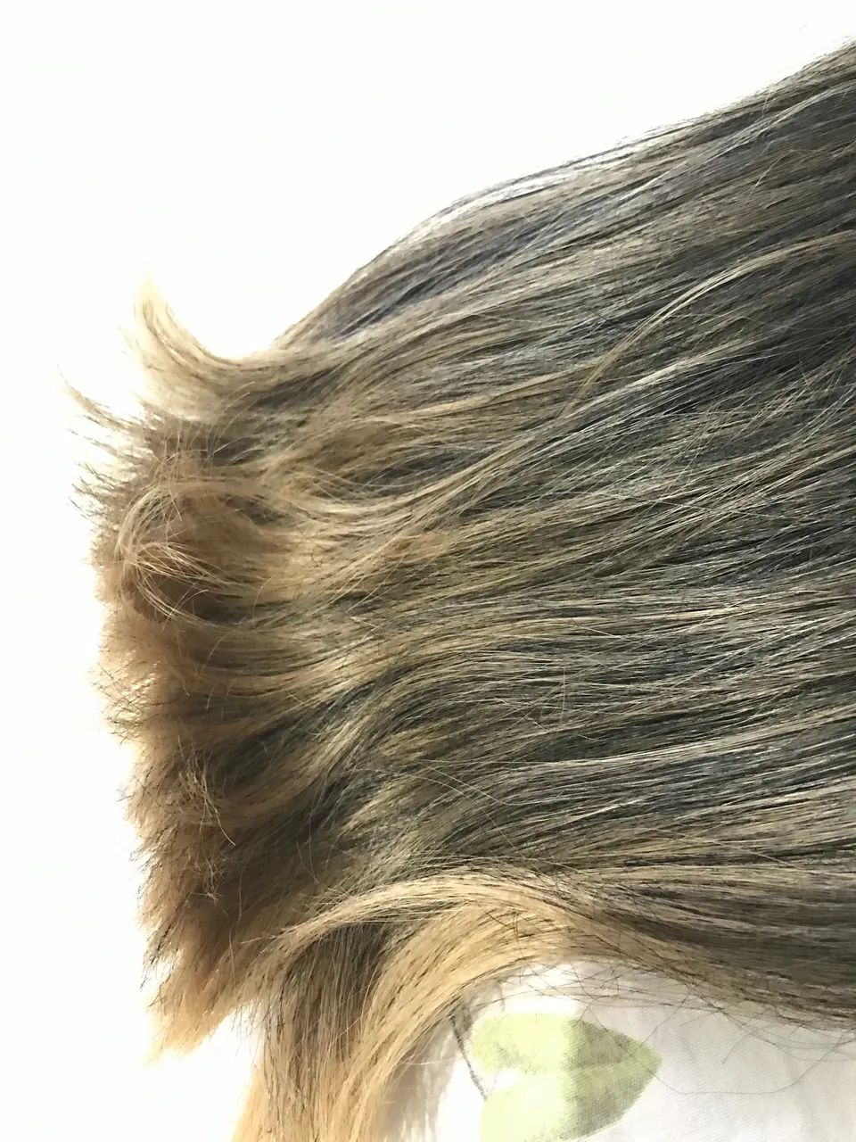 Rabo de cavalo (Desapego) - Foto 2