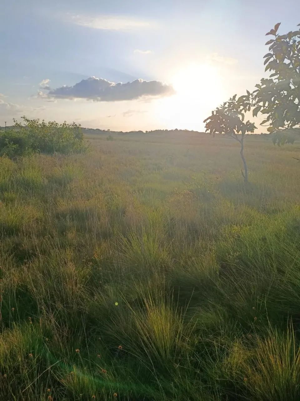 90/100 - Foto 4