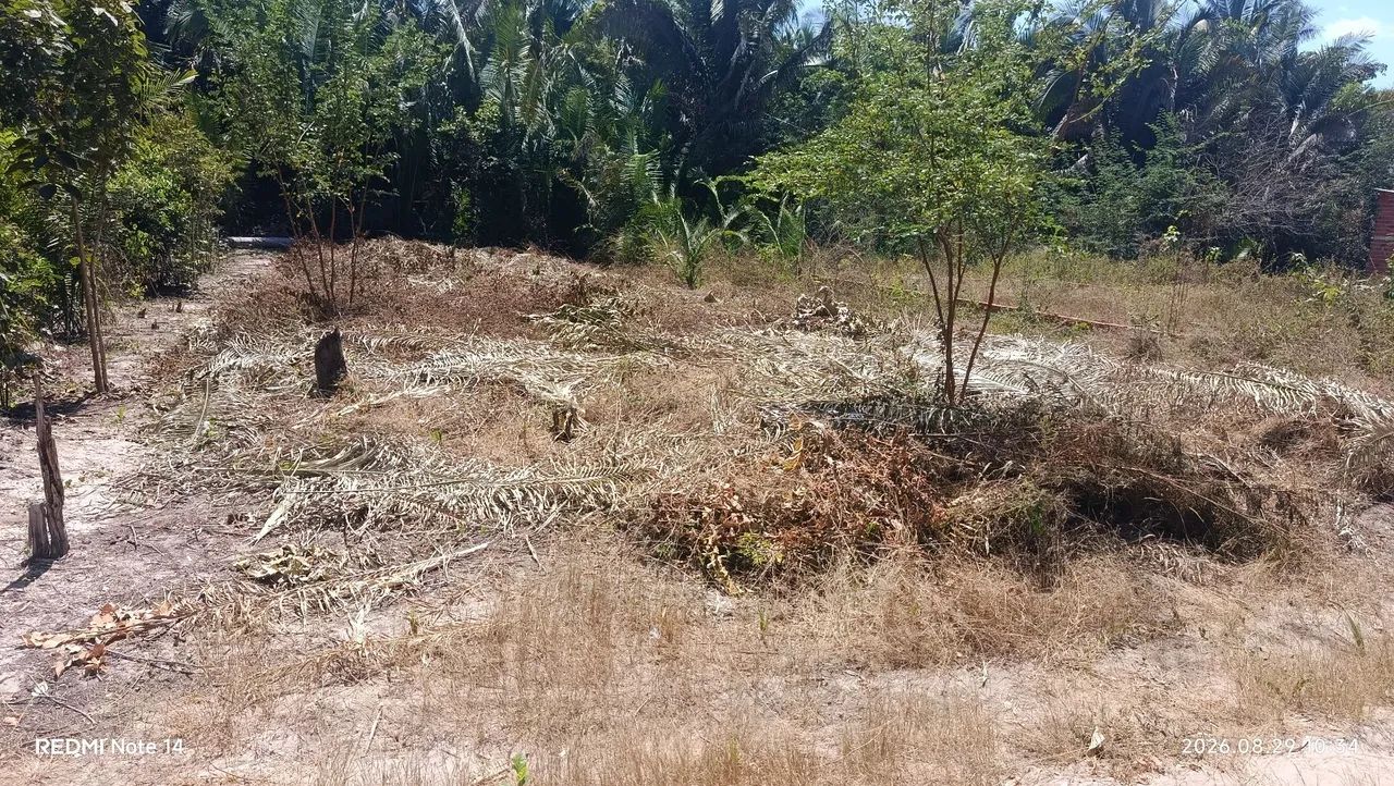 LOTE ZONA RURAL  - Foto 5