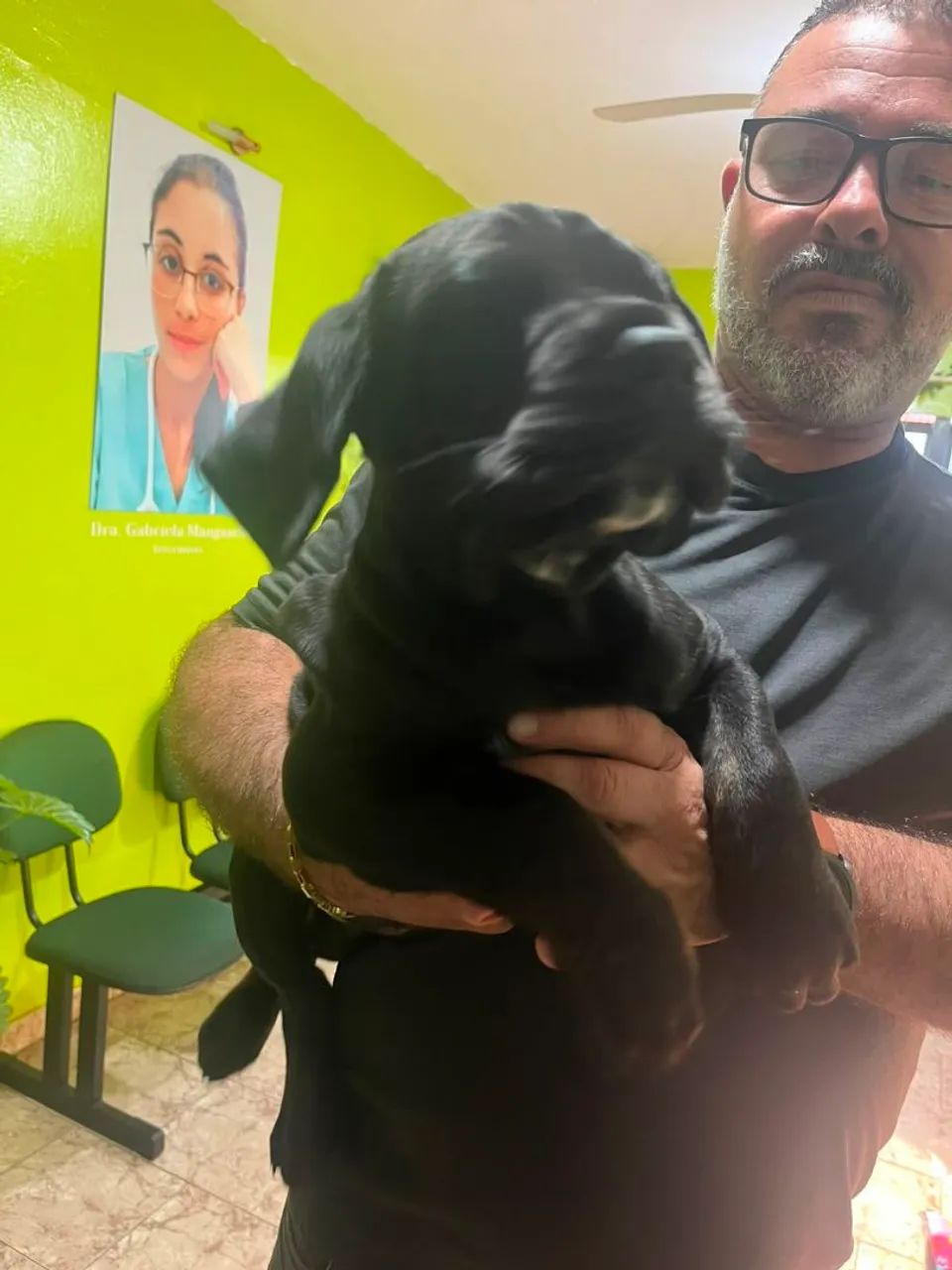 Cane Corso Macho  - Foto 4