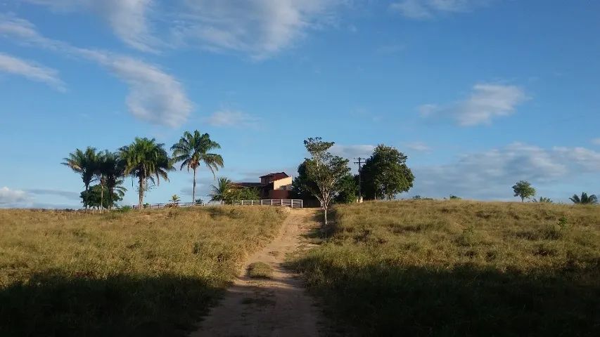 Fazenda Linda em Mucajai - Foto 3