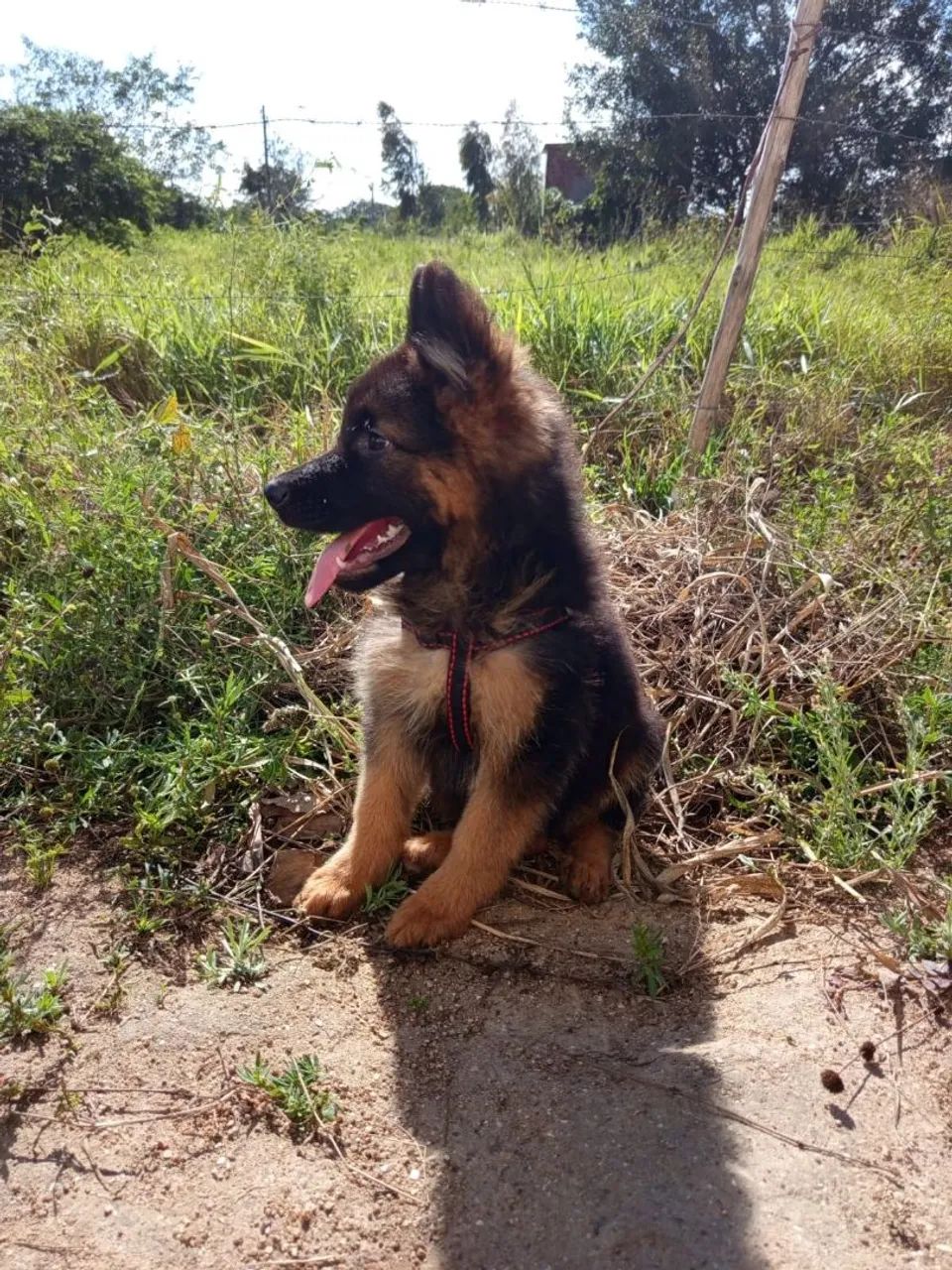 Venda - Foto 2