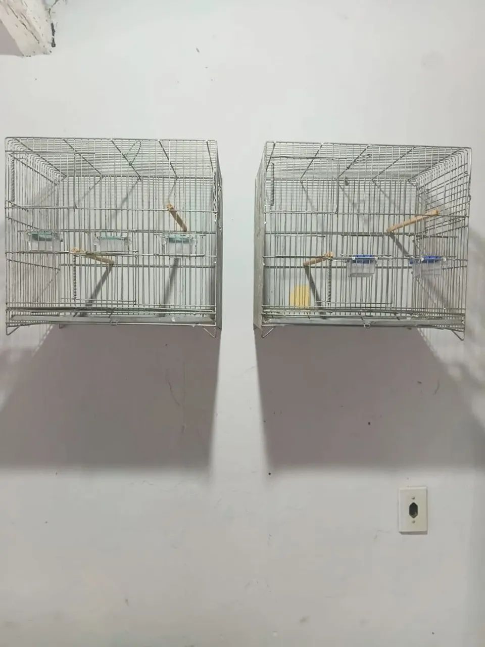 2 gaiolas - Foto 2
