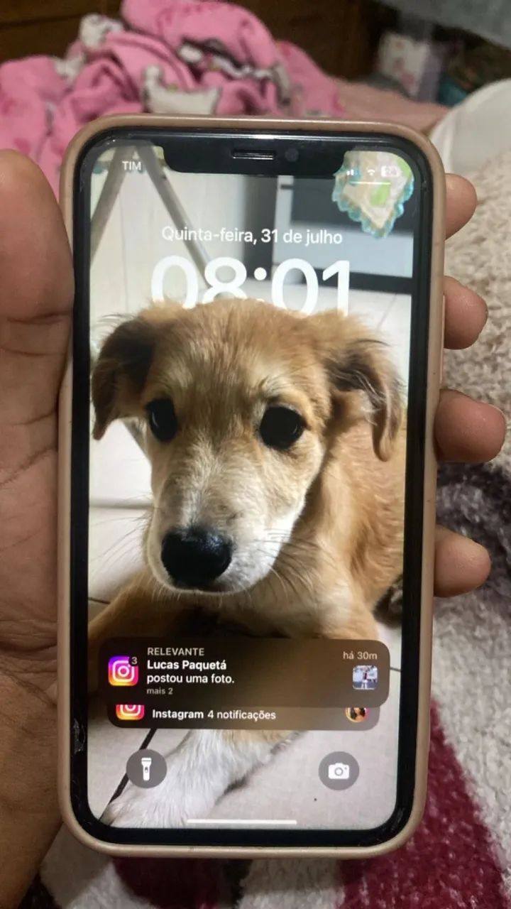 iPhone XR 64gb - Foto 2