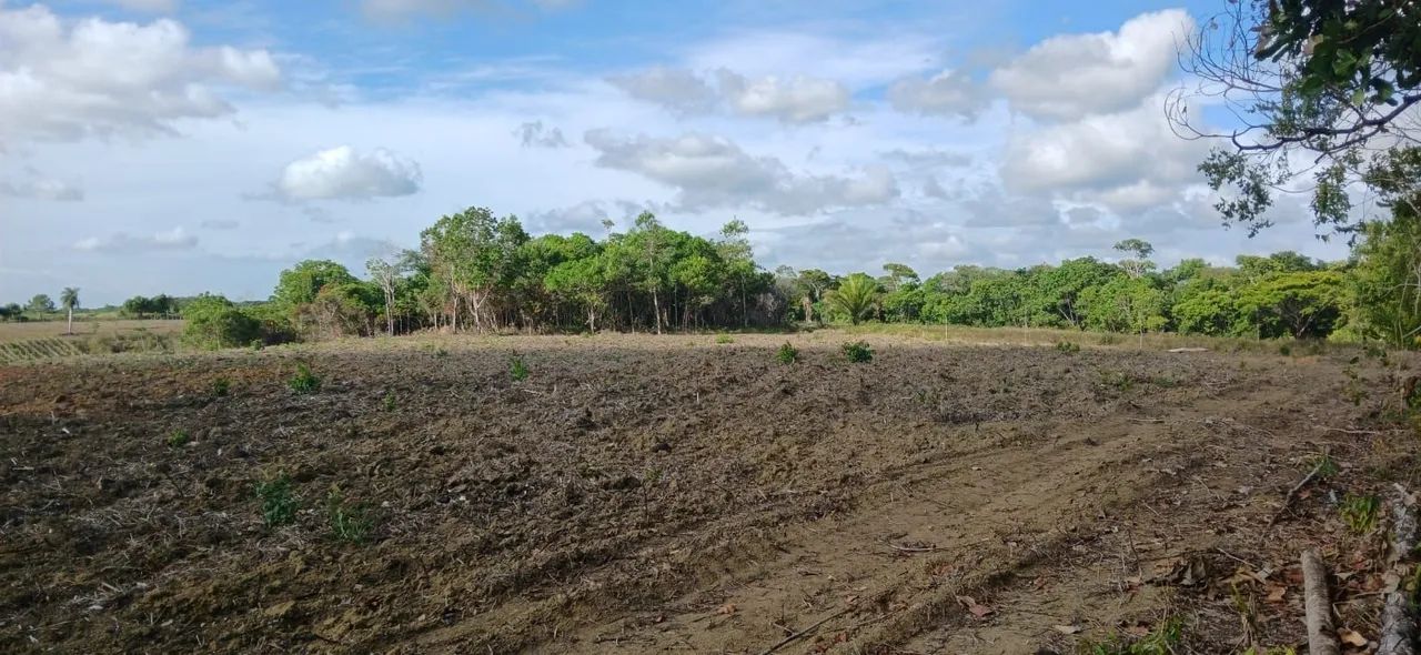 Vendo sitio em maragogi - Foto 5