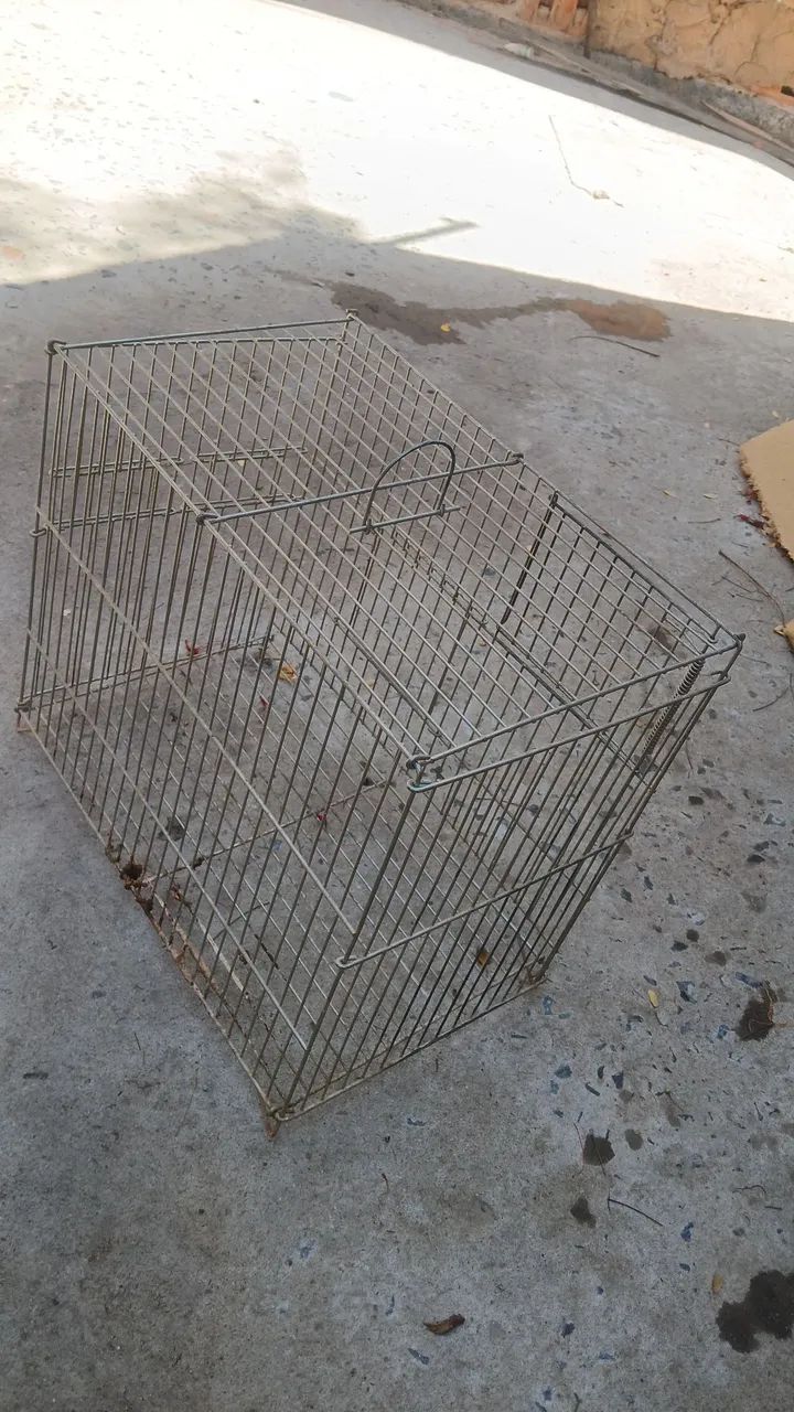 Gaiola (desapego) - Foto 3
