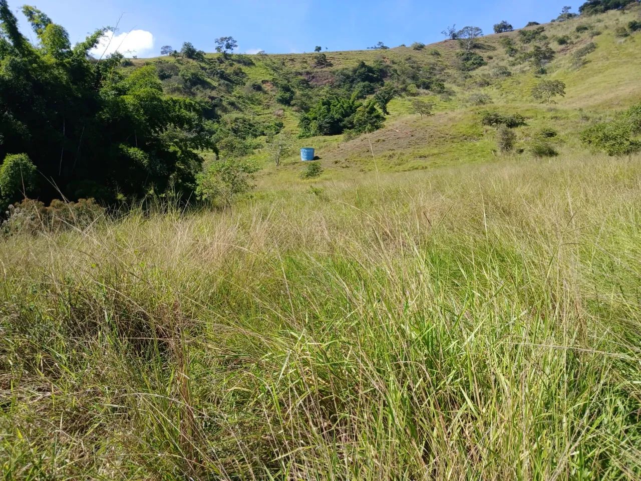 Sítio em Bemposta  - Foto 5