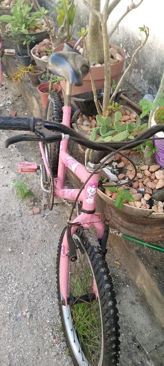 Vendo Baik