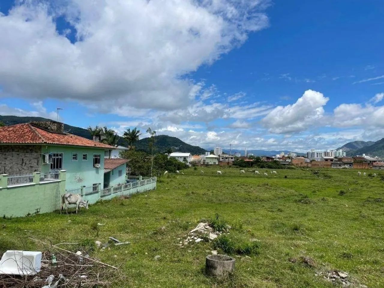 Área 21.293 m² - Fundos - Biguaçu - SC - Foto 4