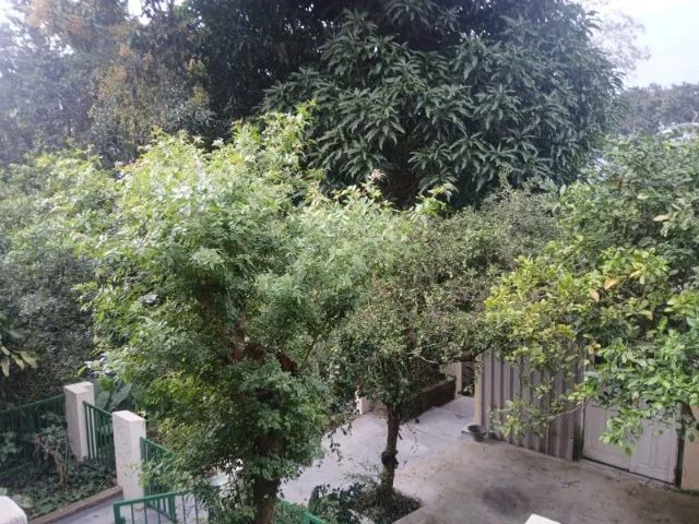 Aconchegante casa - Foto 5