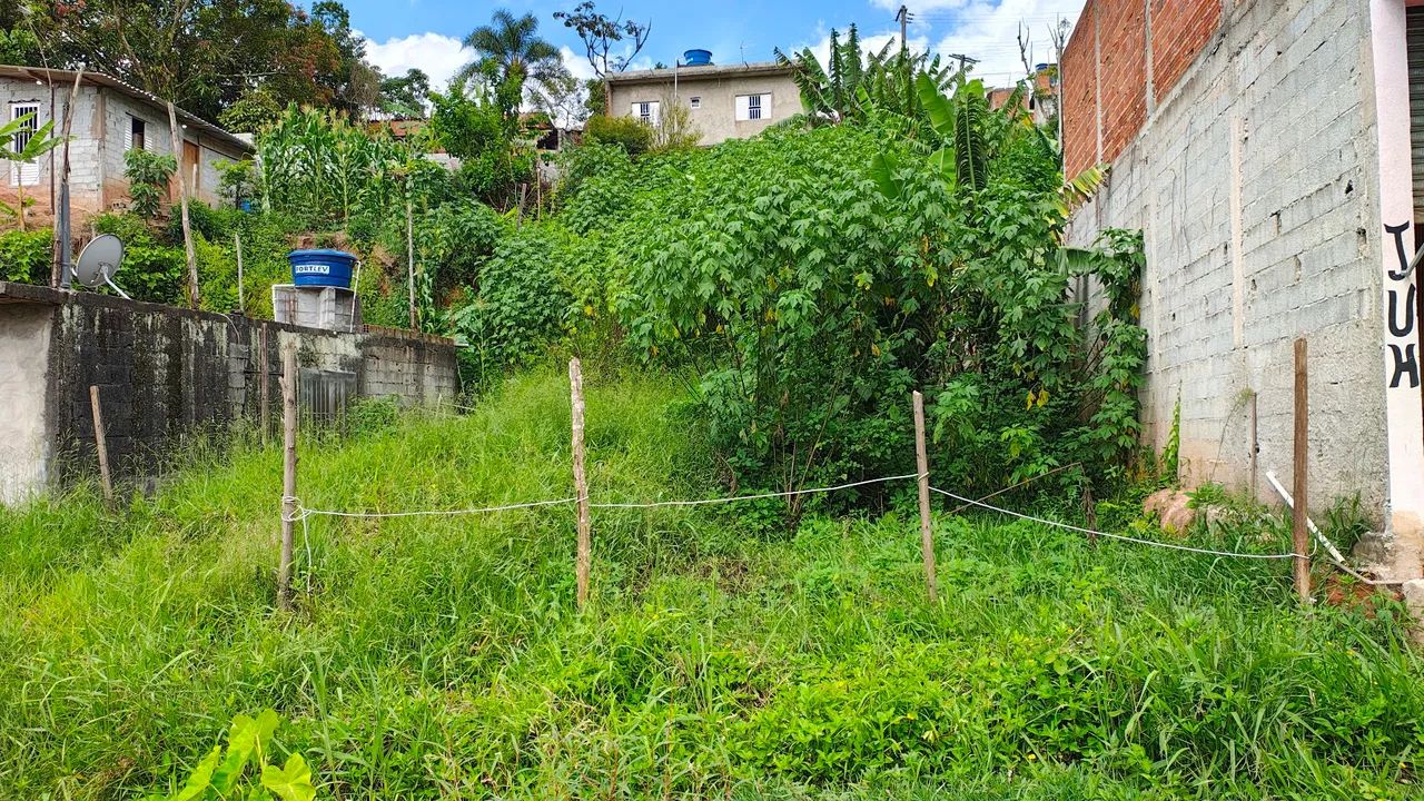 Foto - Francisco Morato - Jardim São João