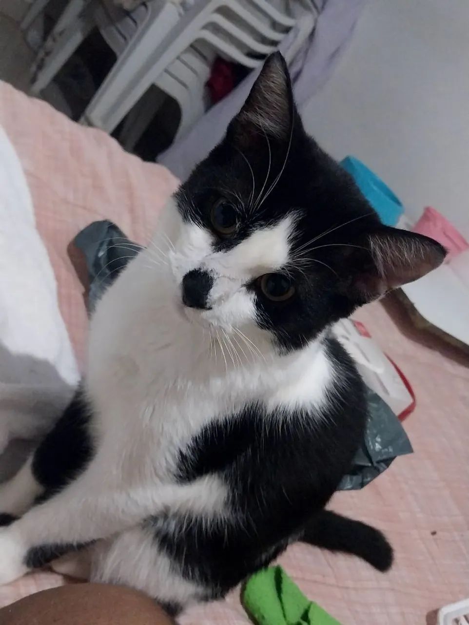 DOAÇÃO RESPONSÁVEL  - Foto 2