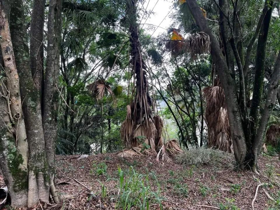 Terreno em Condomínio para Venda em Barueri, Residencial Tamboré