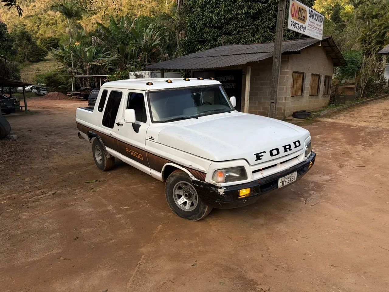 Ford F-1000 F-1000 S. S. Diesel / S.S. Diesel Turbo 1989