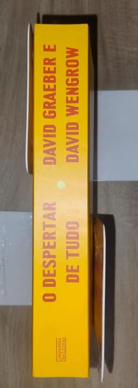 O Despertar de Tudo. David Graeber e David Wengrow. NOVO!! - Foto 3