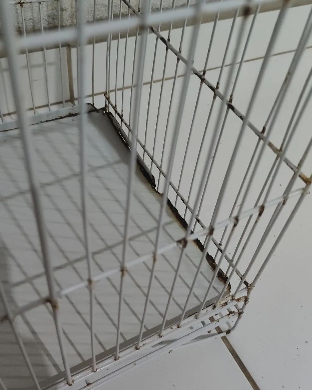 Gaiola para Pássaros Pequeno Porte - Foto 4