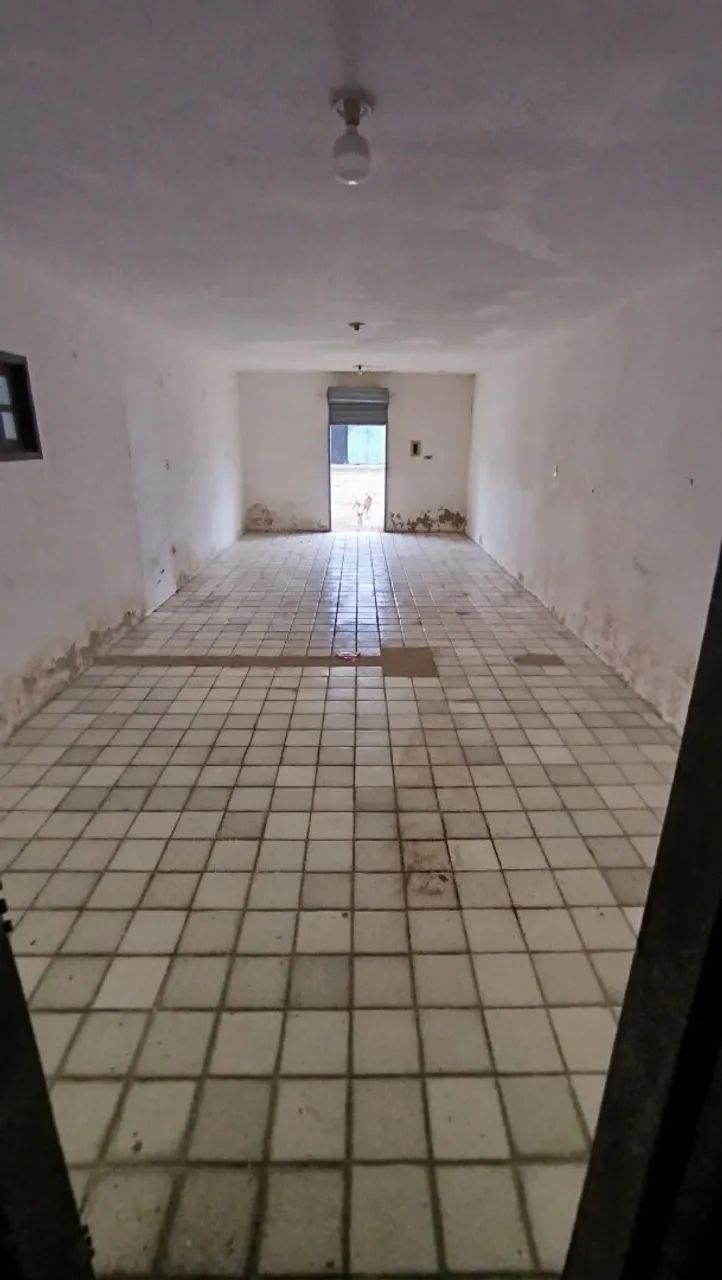 ? GALPÃO / ESPAÇO PARA DEPÓSITO - SANTA LÚCIA - Foto 3